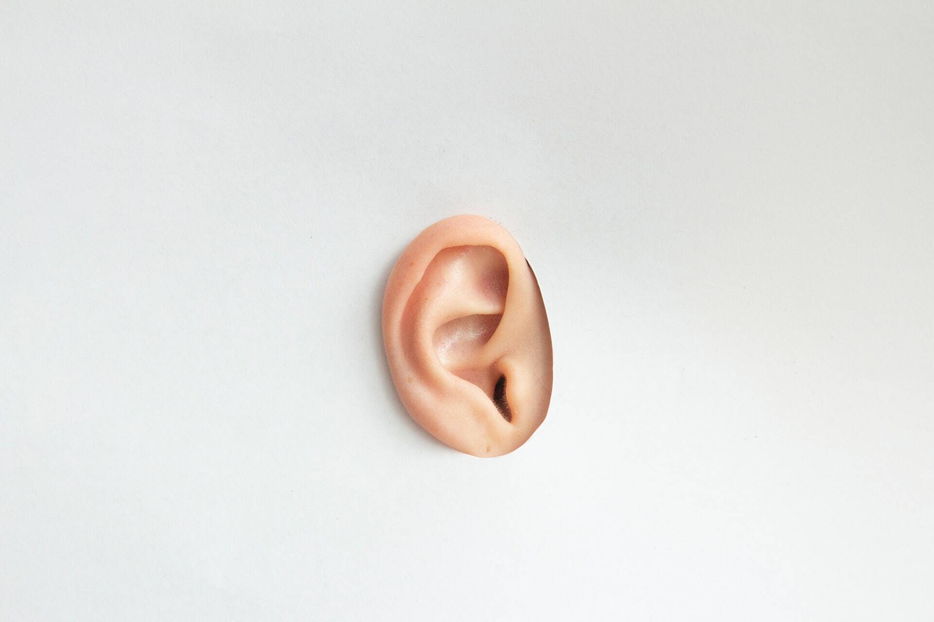 Ear in a paper wall