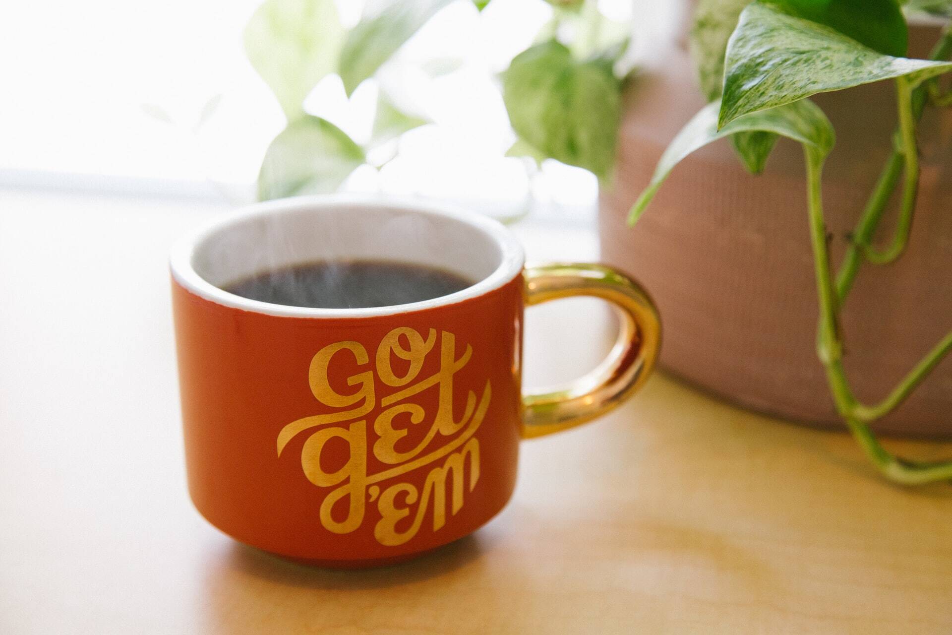 Mug with the phrase Go Get'em written